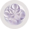 Watsonx.ai